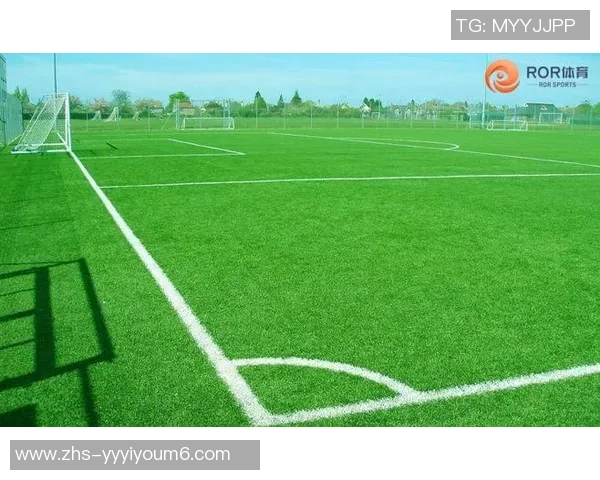 足球场草皮价格揭秘每平方米费用及影响因素分析 足球场草皮价格揭秘每平方米费用及影响因素分析